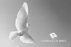 Catholics-Bible-12-2