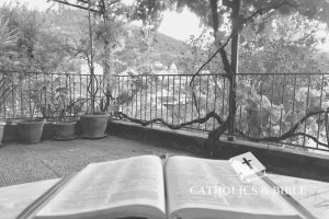 ¿Qué simboliza un jardín en la Biblia? Catholics-Bible-20-4
