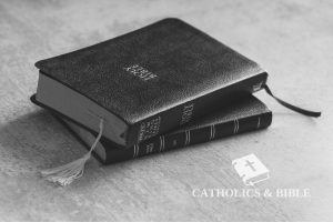 Catholics-Bible-22-4