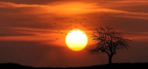 bible-verses-about-sunsets-1-1024×683-850×400-2