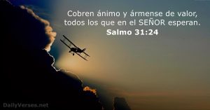 ¿Cuál es el valor de la Biblia? cual-es-el-valor-de-la-biblia