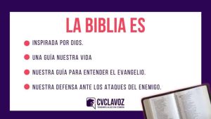 ¿Cuál es la importancia de leer la Biblia? cual-es-la-importancia-de-leer-la-biblia
