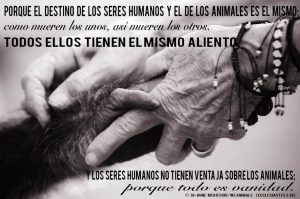 donde-dice-en-la-biblia-que-dios-cuida-de-los-animales