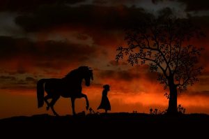 horse-2072287_1280-3