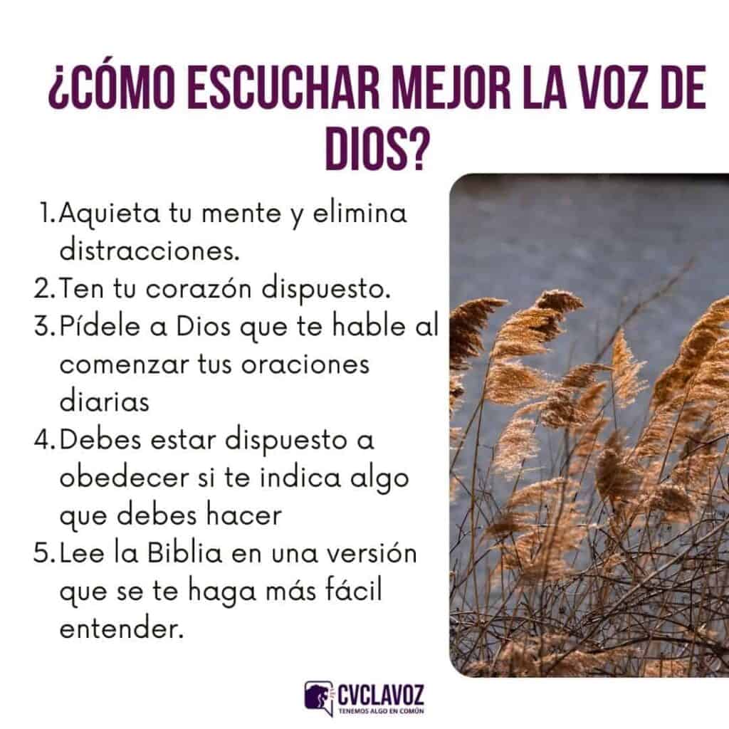 ᐈ ¿Por qué es importante oír la voz de Dios?