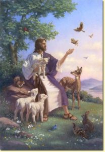 que-dice-jesus-de-los-animales