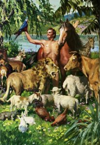 que-es-lo-que-dios-les-ordena-a-los-animales