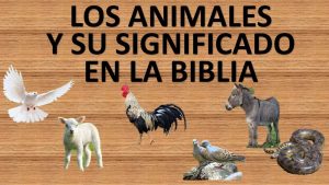 que-significado-tienen-los-animales-en-la-biblia